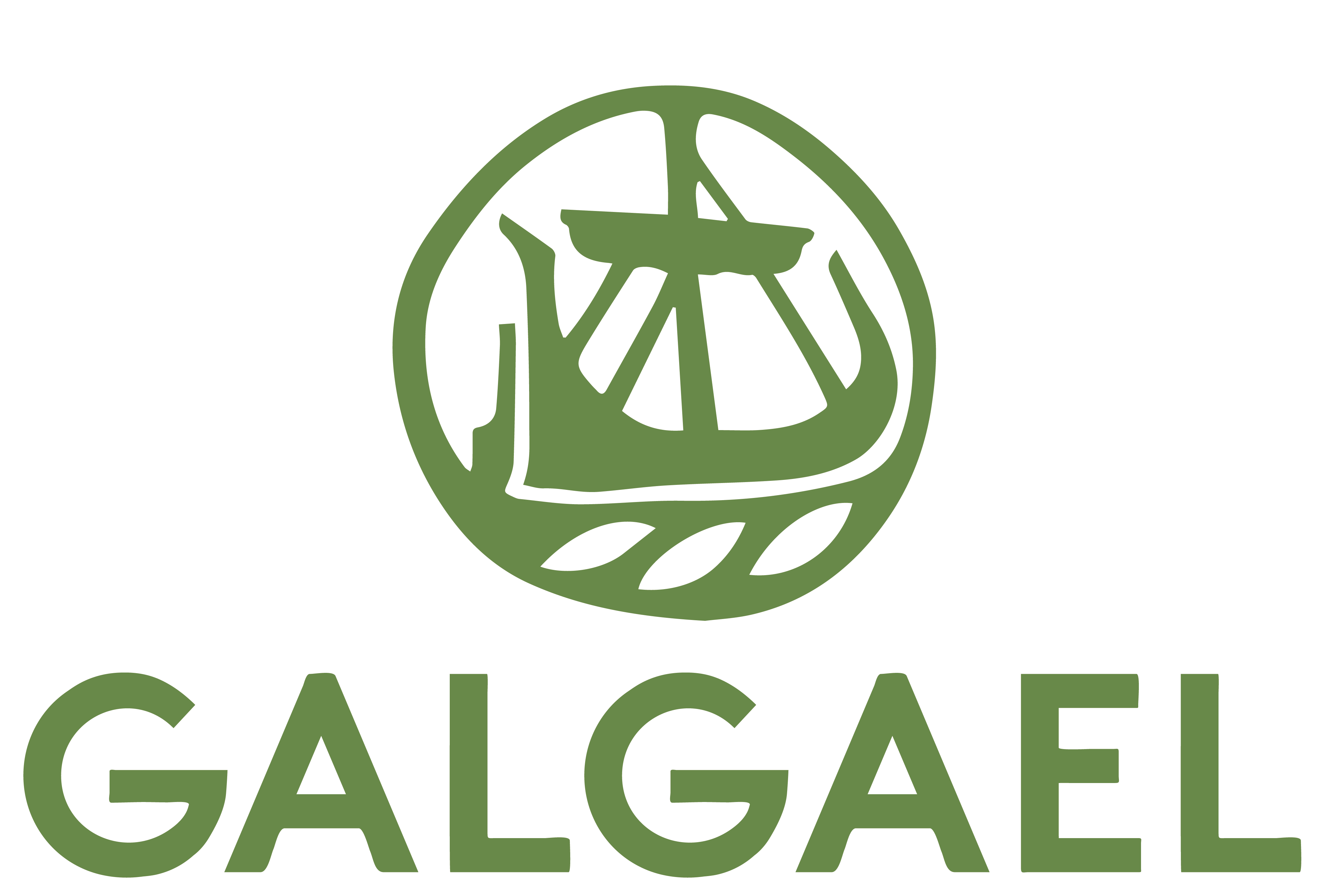 GalGael